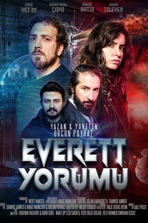 Everett Yorumu