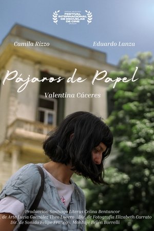 Pájaros de Papel