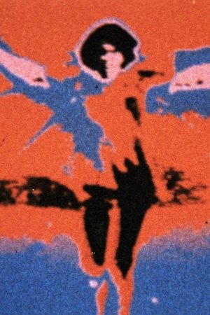 Fly
