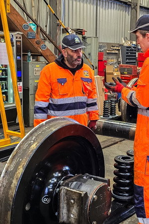 12 Tonne Jigsaw