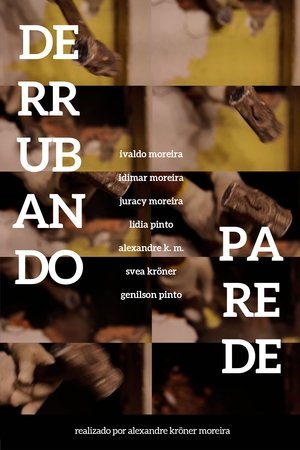 DERRUBANDO PAREDE