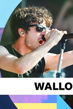 Wallows