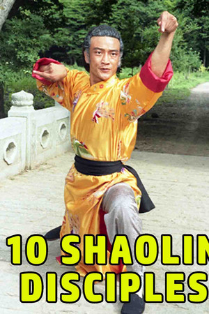 Shaolin Teenage Heroines