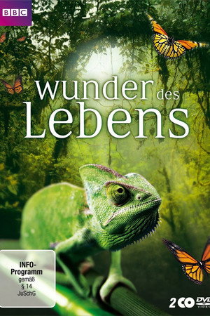 Wunder des Lebens