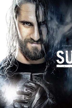 WWE Survivor Series 2014