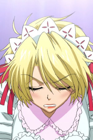 Who Are the Laurels For?