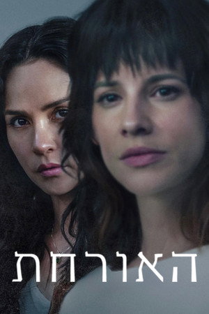 האורחת