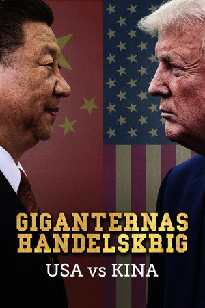 USA vs Kina - giganternas handelskrig