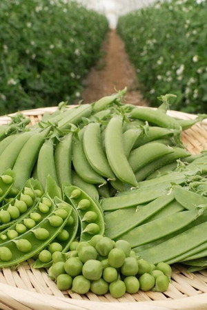 Peas