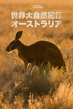 Wild Australia
