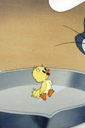 Little Quacker