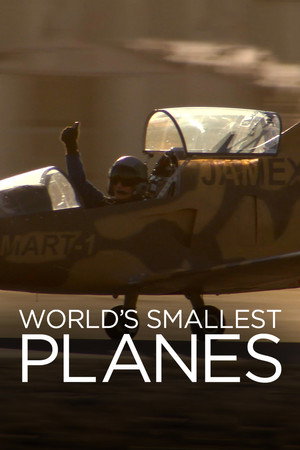 World's Smallest Planes