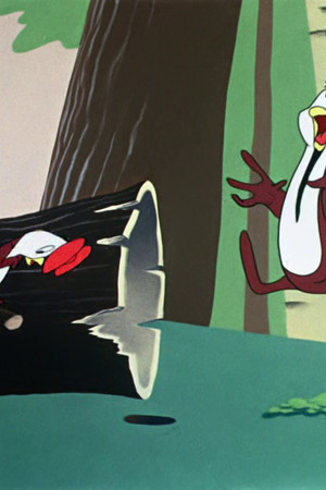 Quentin Quail