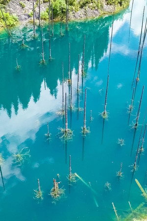 Lake Kaindy, The Treasure of the Kazakh Mountains