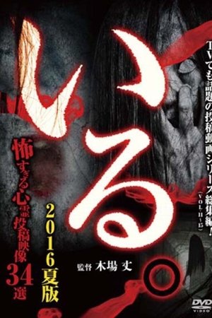 「Iru.」(Vol.11-15) Sōshūhen 2016 Natsu-ban Kowasugiru Shinrei Tōkō Eizō 34-sen