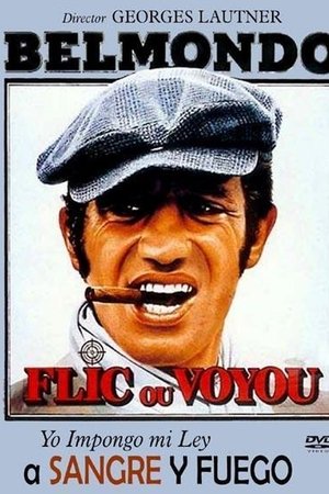 Flic ou Voyou