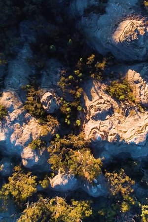 Gardens of Stone
