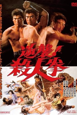 The Street Fighter's Last Revenge
