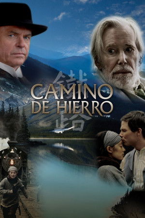 Camino de hierro