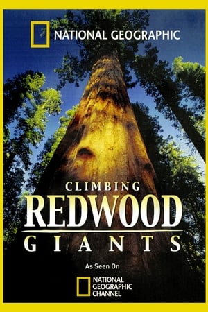 Climbing Redwood Giants