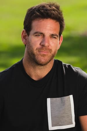 Del Potro, el último match point