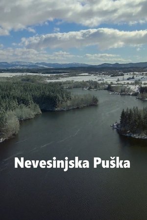 The Herzegovina Uprising
