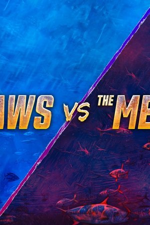 episode