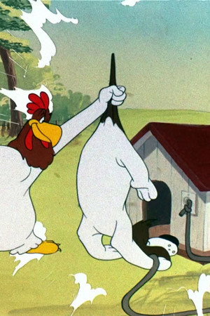 Walky Talky Hawky