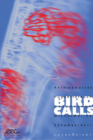 Bird Calls
