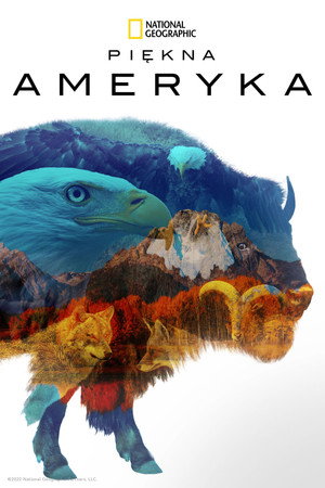 Piękna Ameryka