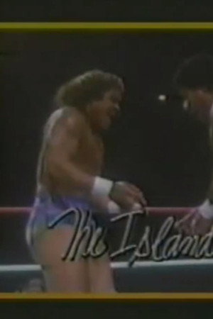 April 25, 1987 - Superstars of Wrestling 34