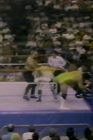 September 3, 1988 - Superstars of Wrestling 105
