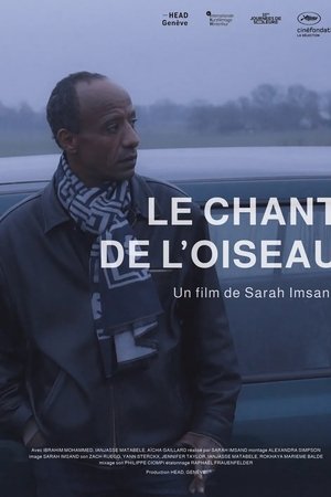 Le chant de l’oiseau
