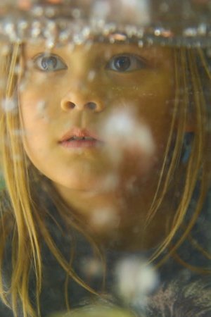 A View from the Window