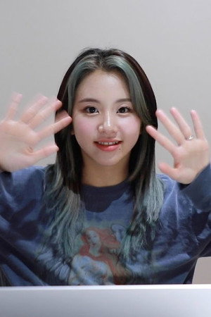 TWICE TV “Finding TWICE’s MBTI” EP. CHAEYOUNG