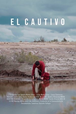 El Cautivo