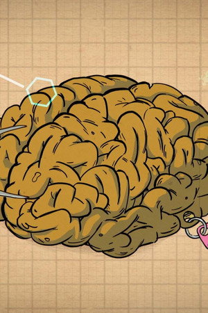 How Do You Become a Genius?