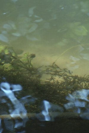 Un Film long comme une larme