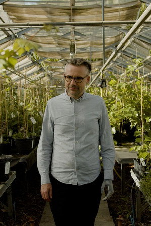 Organic Farming: With or Without GMOs?