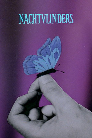 Papillons de nuit