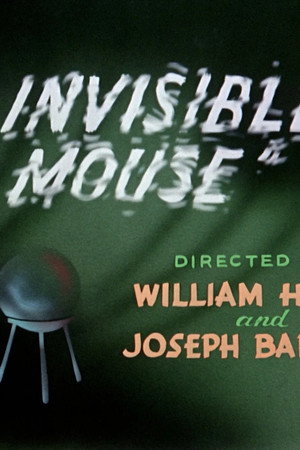 The Invisible Mouse
