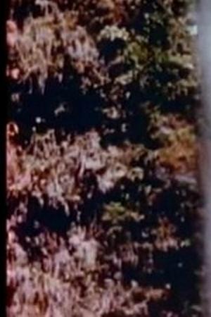 11. epizoda