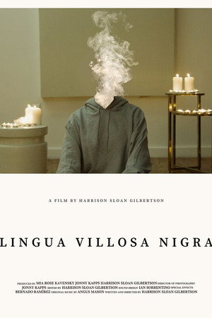 Lingua Villosa Nigra