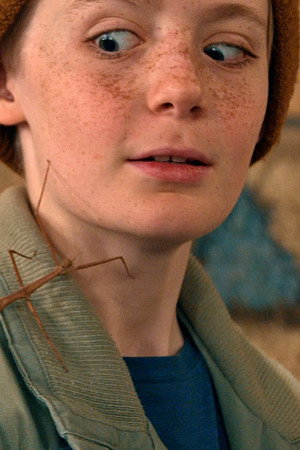 Stokk the Stick Insect