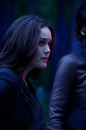 Mombaský kartel (č. 114)