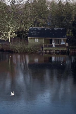 House on Elm Lake