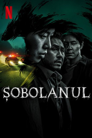 Șobolanul