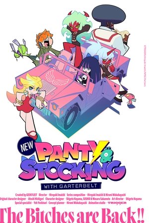 New PANTY & STOCKING with GARTERBELT