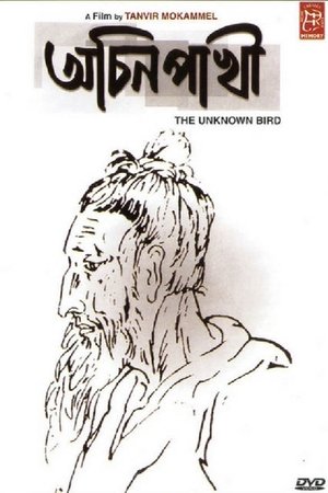 Achin Pakhi