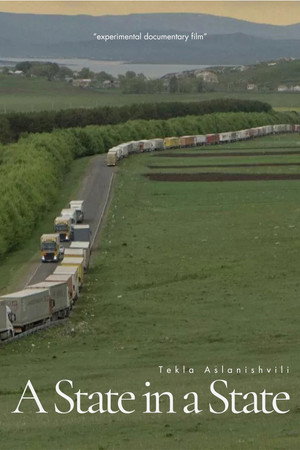 A State in a State